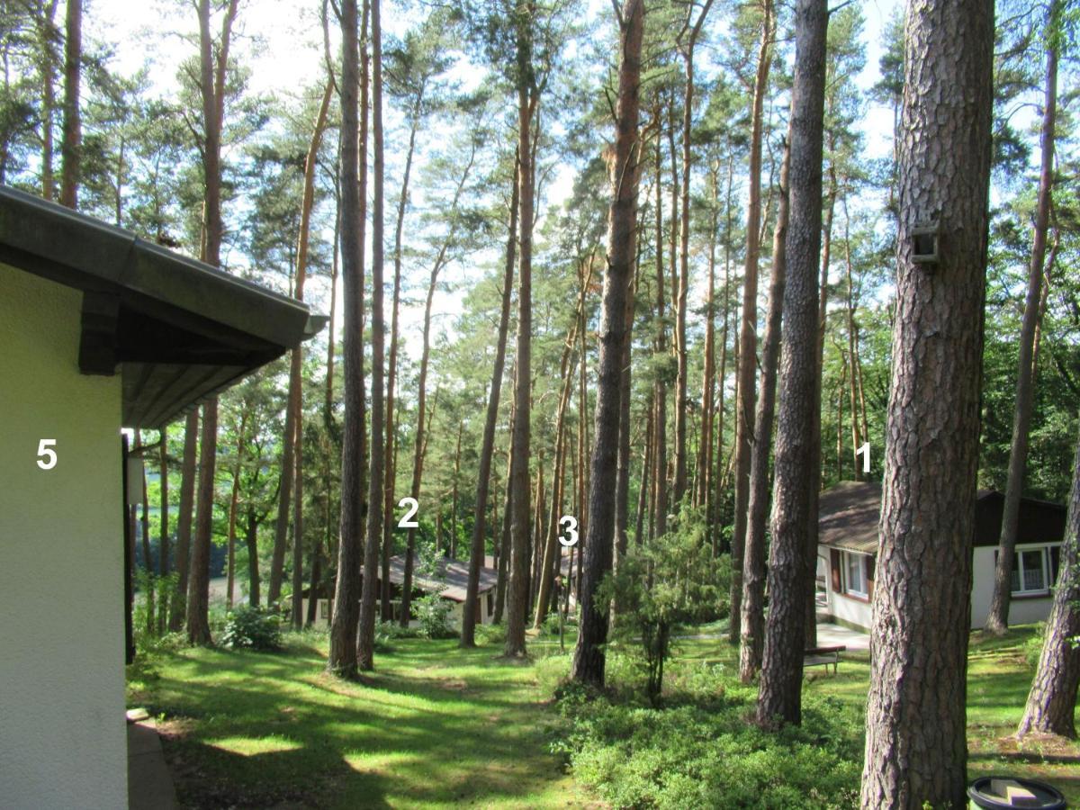 Feriendorf Mengshausen Niederaula Exterior photo