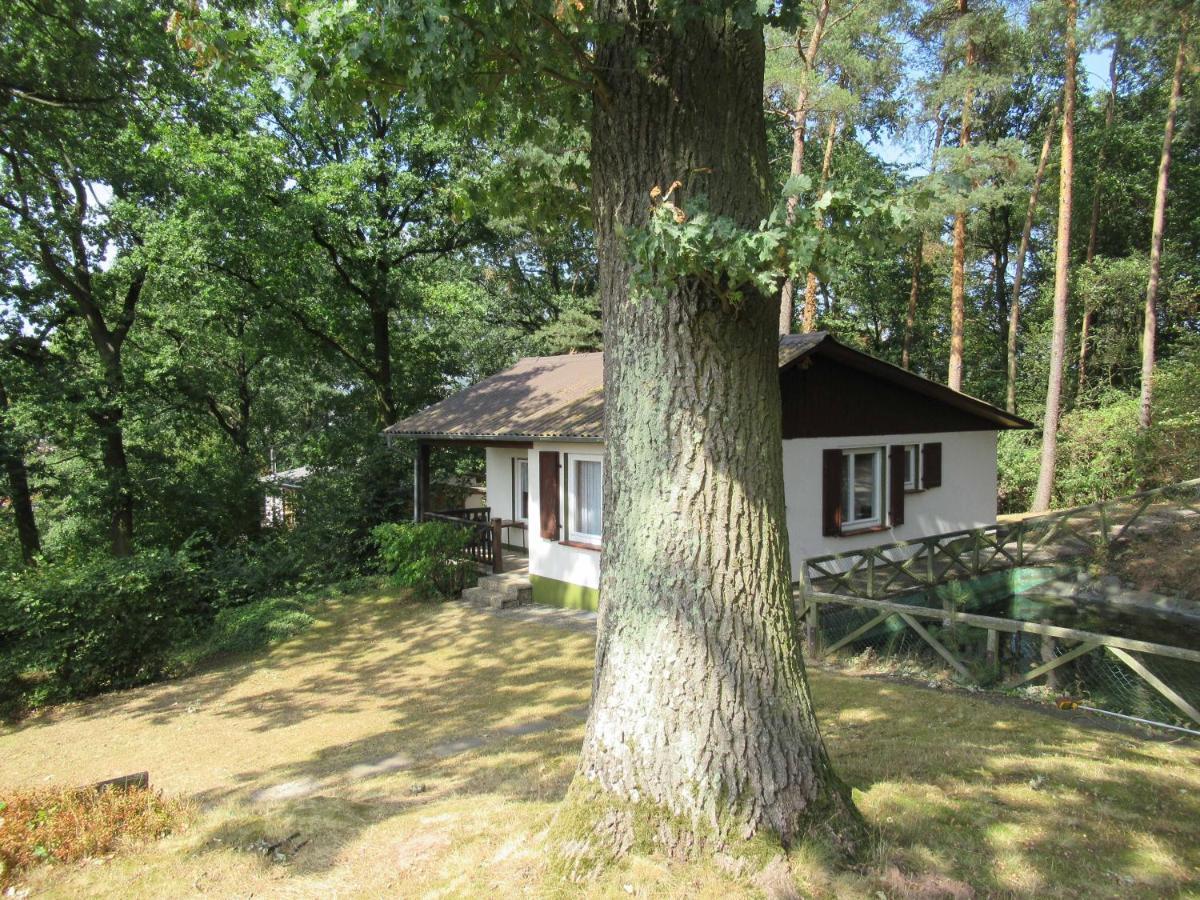 Feriendorf Mengshausen Niederaula Exterior photo